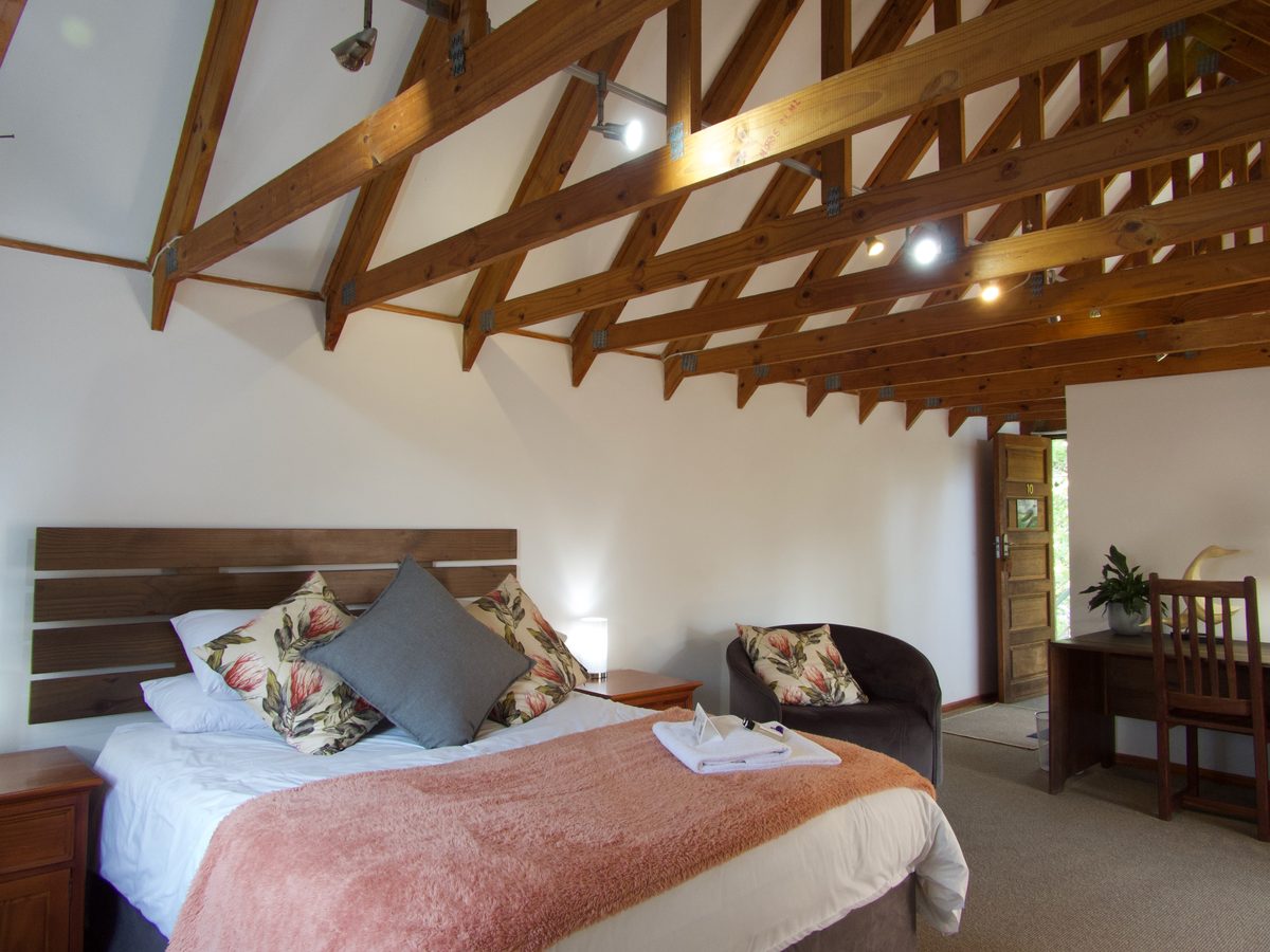 African Cuckoo room image